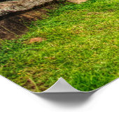 Poster Angkor Wat Cambodge (Coin)