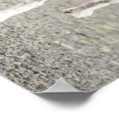 Poster anglais (Coin)