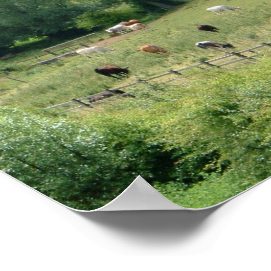 Poster Anglais (Coin)