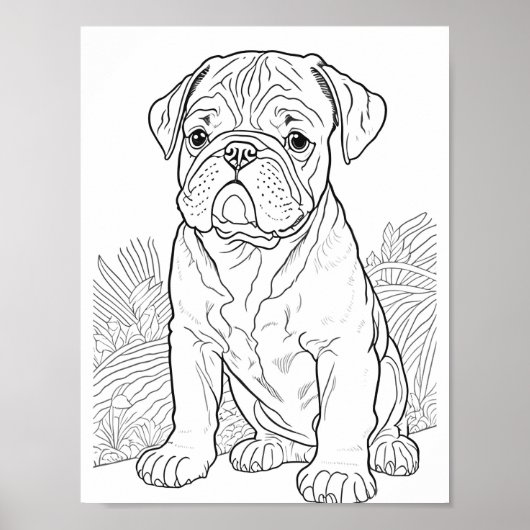 Poster Anglais Bulldog Adult Coloration (Devant)
