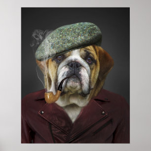 Poster Anglais Bulldog Français Casquette Pipe