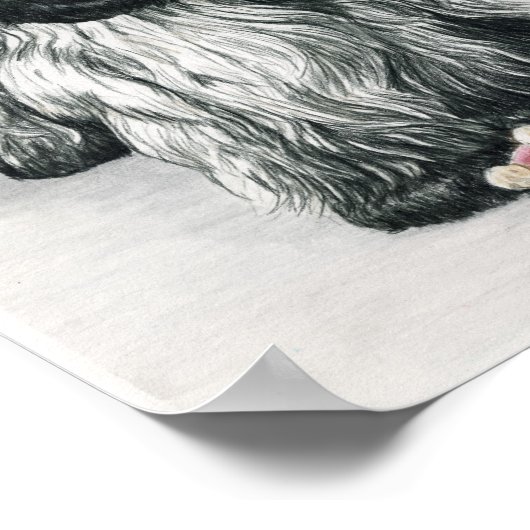 Poster Anglais Cocker Spaniel Dog Art Imprimer (Coin)