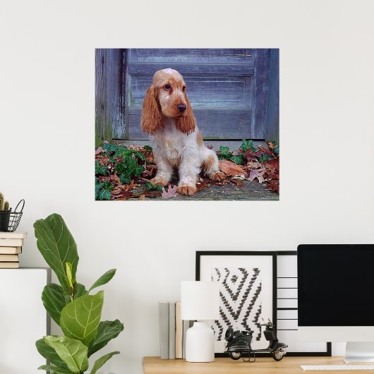 Poster Anglais Cocker Spaniel Print (Bureau à domicile)