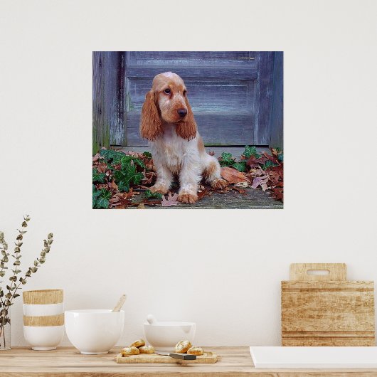 Poster Anglais Cocker Spaniel Print (Cuisine)