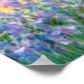 Poster Anglais Setter 1 - Jardin (Coin)