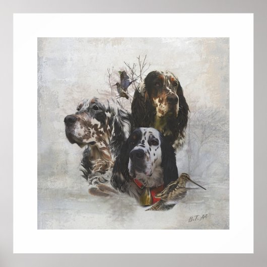 Poster Anglais Setter, chasse à la bécasse (Devant)