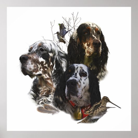 Poster Anglais Setter, chasse aux oiseaux (Devant)