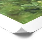 Poster Anglais Setter, chasse aux oiseaux (Coin)