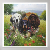 Poster Anglais Setter, chasse aux oiseaux (Devant)
