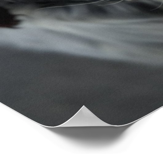 Poster anglais Setter Print (Coin)