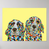 Poster anglais Springer Spaniel (Devant)