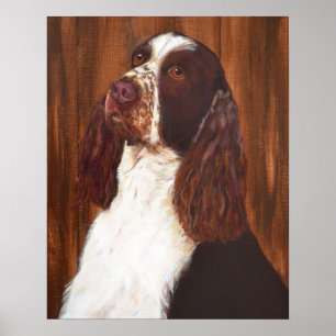 Poster Anglais Springer Spaniel