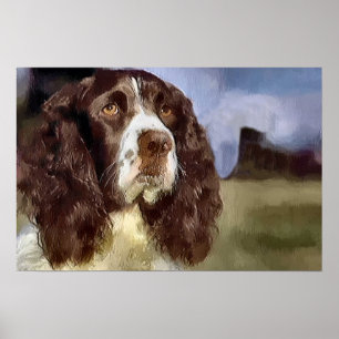 Poster Anglais Springer Spaniel Art Prints Cadeaux