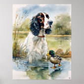 Poster Anglais Springer Spaniel - Chien Art Imprimer (Devant)