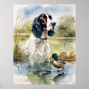 Poster Anglais Springer Spaniel - Chien Art Imprimer