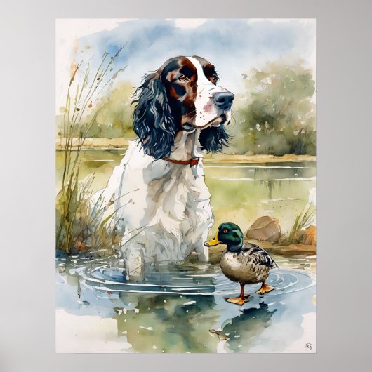 Poster Anglais Springer Spaniel - Chien Art Imprimer (Devant)