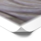 Poster Angle de couchage 1 (Coin)