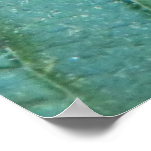 Poster Angle Shades Moth (Coin)