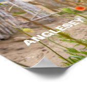 Poster Anglesey Wales Vue Pittoresque Plage Et Poppies Sa (Coin)