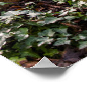 Poster Angleterre, Londres, Highgate Cemetery, gravesite (Coin)