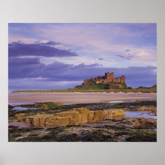 Poster Angleterre, Northumberland, Château de Bamburgh (Devant)