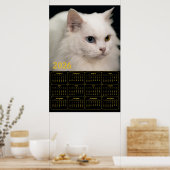 Poster Angora Cat with Heterochromia – 2026 Calendar  (Cuisine)