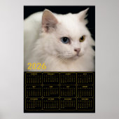 Poster Angora Cat with Heterochromia – 2026 Calendar  (Devant)
