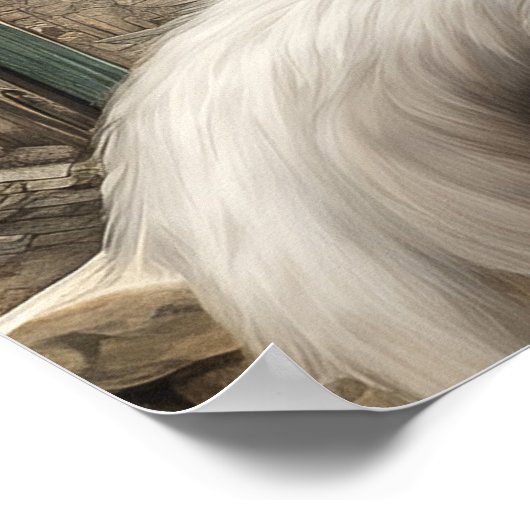 Poster Angora turc - Art Chat Imprimer (Coin)