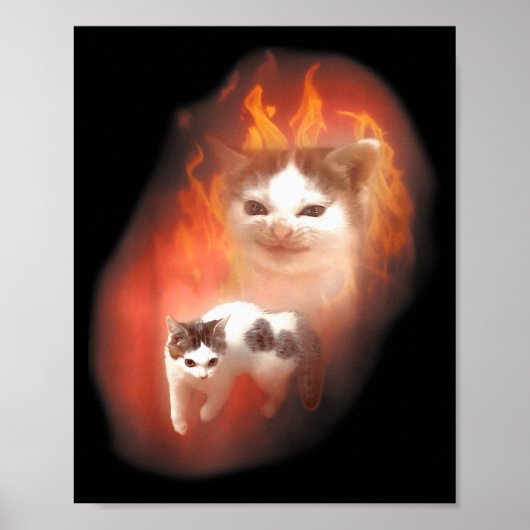 Poster Angry Cat Meme Funny Silly Cat Kitten Lover Humor  (Devant)