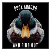 Angry Duck dit Duck Around and Find