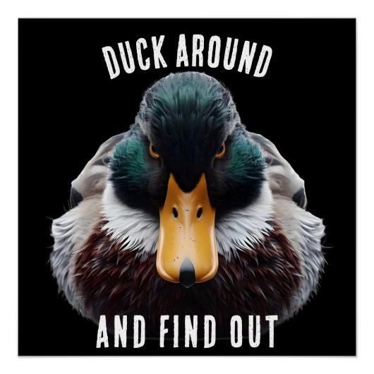 Poster Angry Duck dit Duck Around and Find (Devant)