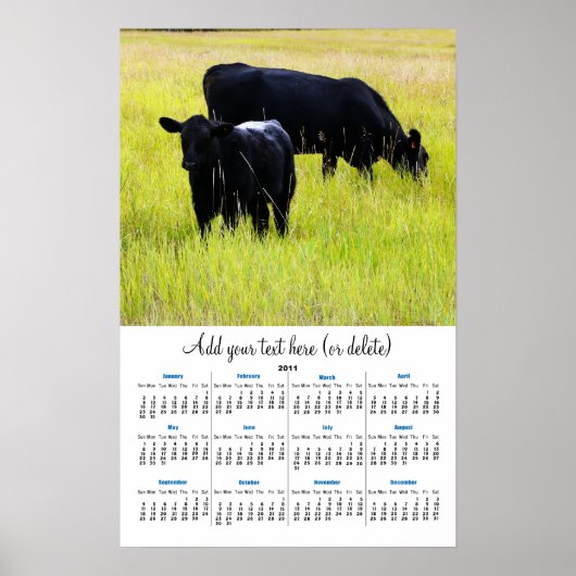 Poster Angus noir dans l'herbe jaune Calendrier mural 201 (Devant)