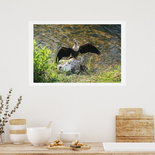 Poster Anhinga (Cuisine)