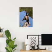 Poster Anhinga à l'étang (Bureau à domicile)