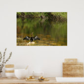 Poster Anhinga dans les Everglades (Cuisine)