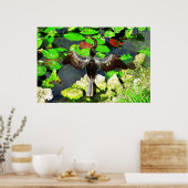Poster Anhinga, Parc national des Everglades, FL (Cuisine)