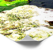 Poster Anhinga, Parc national des Everglades, FL (Coin)