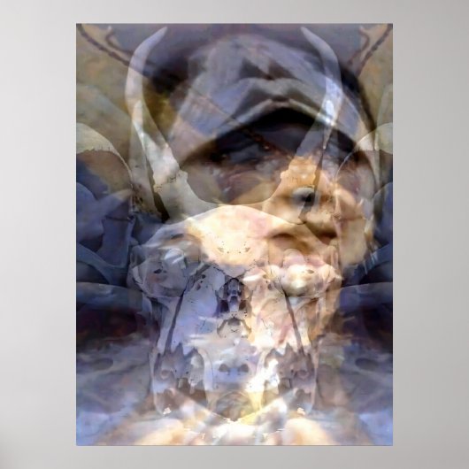 Poster Animages 4 (Devant)