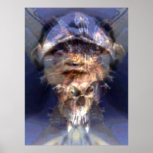 Poster Animages 5 (Devant)