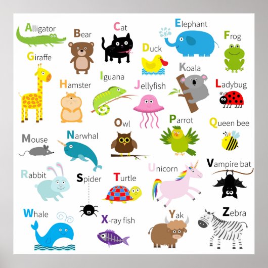 Poster Animal Alphabet letters (Devant)