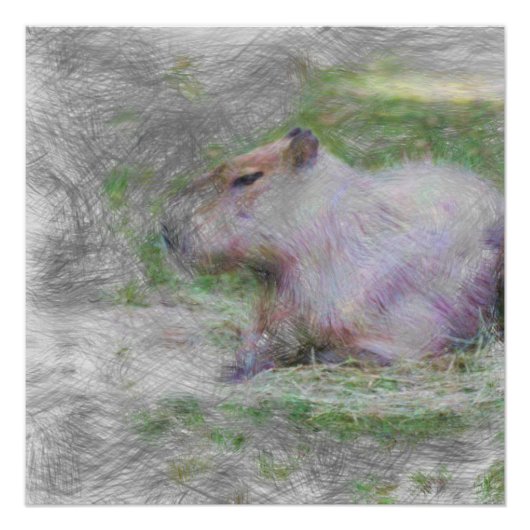 Poster animal artistique capybara (Devant)