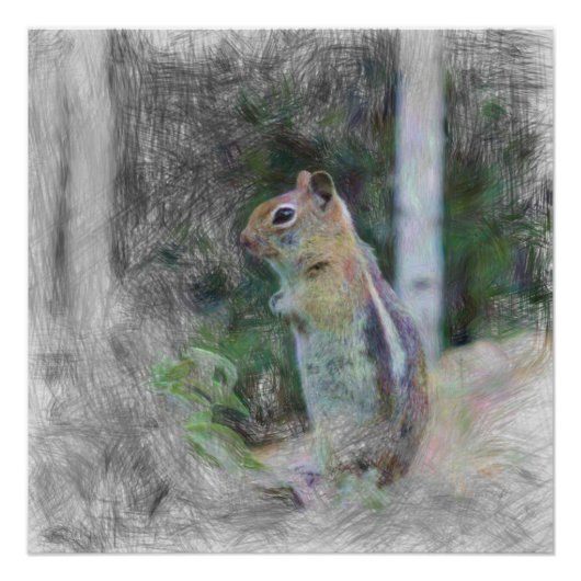 Poster animal artistique chipmunk 1 (Devant)