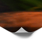 Poster Animal de serpent vert (Coin)