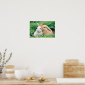 Poster Animal lapin Nature Faune Affection Soin (Cuisine)