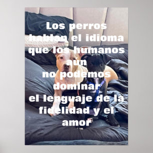 Poster animal lenguaje