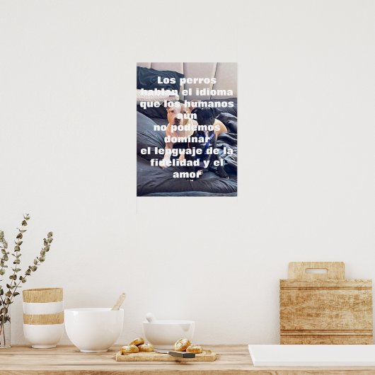 Poster animal lenguaje (Cuisine)