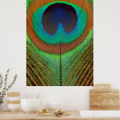 Poster Animal - Oiseau - Plume de Paon (Cuisine)