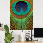 Poster Animal - Oiseau - Plume de Paon (Bureau à domicile)