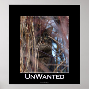Poster animal sauvage Tabby Cat Demotivation