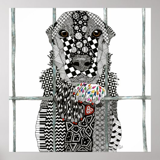 Poster animal Shelter Dog 24"x 24" (Devant)